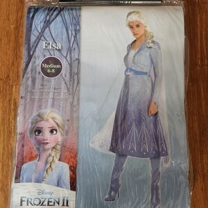 Adult Disney Frozen II Elsa Dress in Blue and Purple